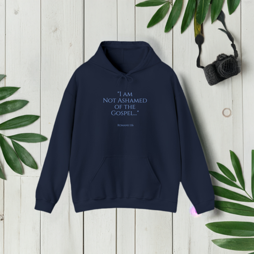 I am not Ashamed of the Gospel Hoodie/Bible Verse Hoodie/Christian Hoodie/Christian Gift/Christian Streetwear/Christian Sweatshirt